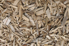 biomass boilers Dulas